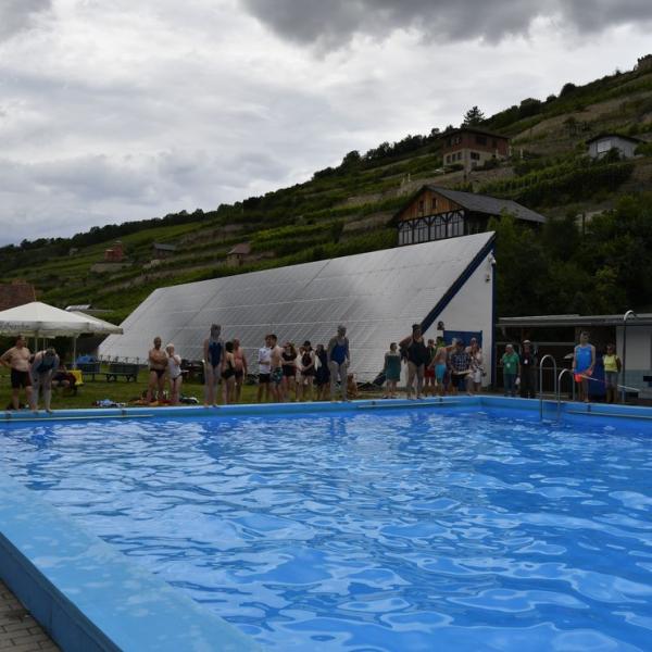 Der Schwimmwettkampf Im Schonen Freyburger Freibad 30 