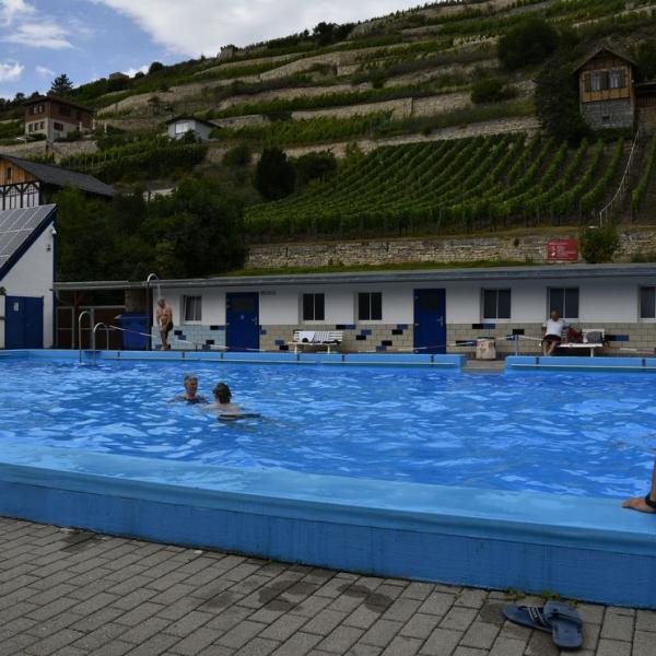Der Schwimmwettkampf Im Schonen Freyburger Freibad 